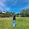 peill_
