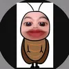 xnxcxt