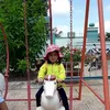 hoa.ha147