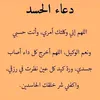 hananeaitdra