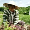 NGƯỜI KỂ CHUYỆN TÙ