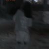 ummu_fdn