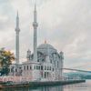 muhammadamir8381