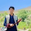 user8508201279226
