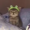 1lysmnay