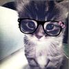 zozay_8