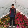 burhan.poyraz