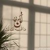 webyhamed4