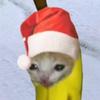 gato_banana12341