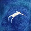zzby_a