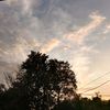 zky_26.12