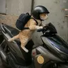 _quangminh2kar8