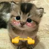 hoahoa23_3