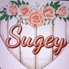 sugey.valenzuela.rom