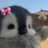 hola_buenas_noches67