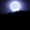 bulan7973