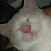 0xxxyliaxx0