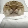 chicihilikibitiqiwiripid