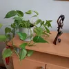 michelevandevraye