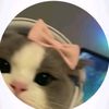 mes_sa1126