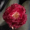 hailey.com14