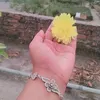 moriom.jannat773