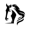 bayir_horse_riding