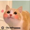 anhemmincuthethoihehe