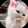 candy_floss19