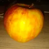 samsarych3