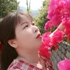 honghuvi