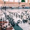 tiktok.comuser0618