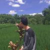 erikplayaran