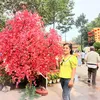 user2016961235703
