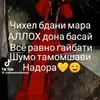 rozajon8