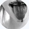sonixx3156