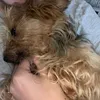 chunkynunkymonkey