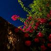 fatmaa_ahmed10