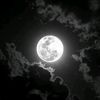 douaa._.a4