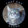thatcatakuma