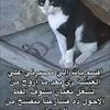 user7092725563713