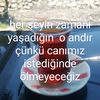 zeynom2937