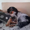 rodri_tiktk