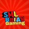 smlbriangameing