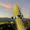 imacactus448
