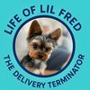 lifeoflilfred