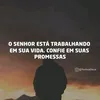 marcelorodriguesd663