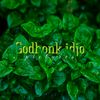 godhonkidjo.pictures