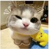 .nway27