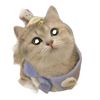 cutemeow0